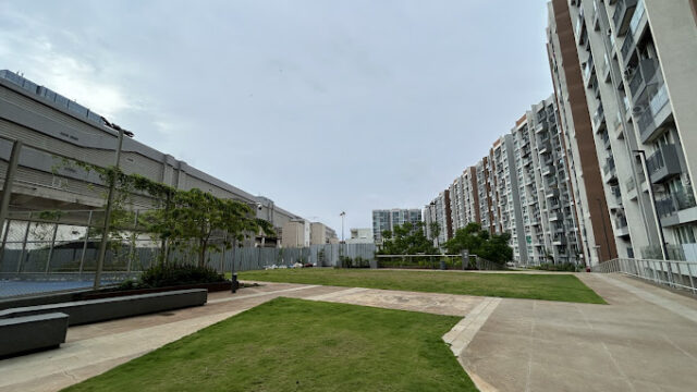 lnt1