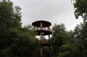 veer sawarkar udyan.webp 4